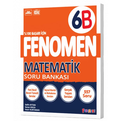 FENOMEN YAYINLARI 6. SINIF MATEMATİK B